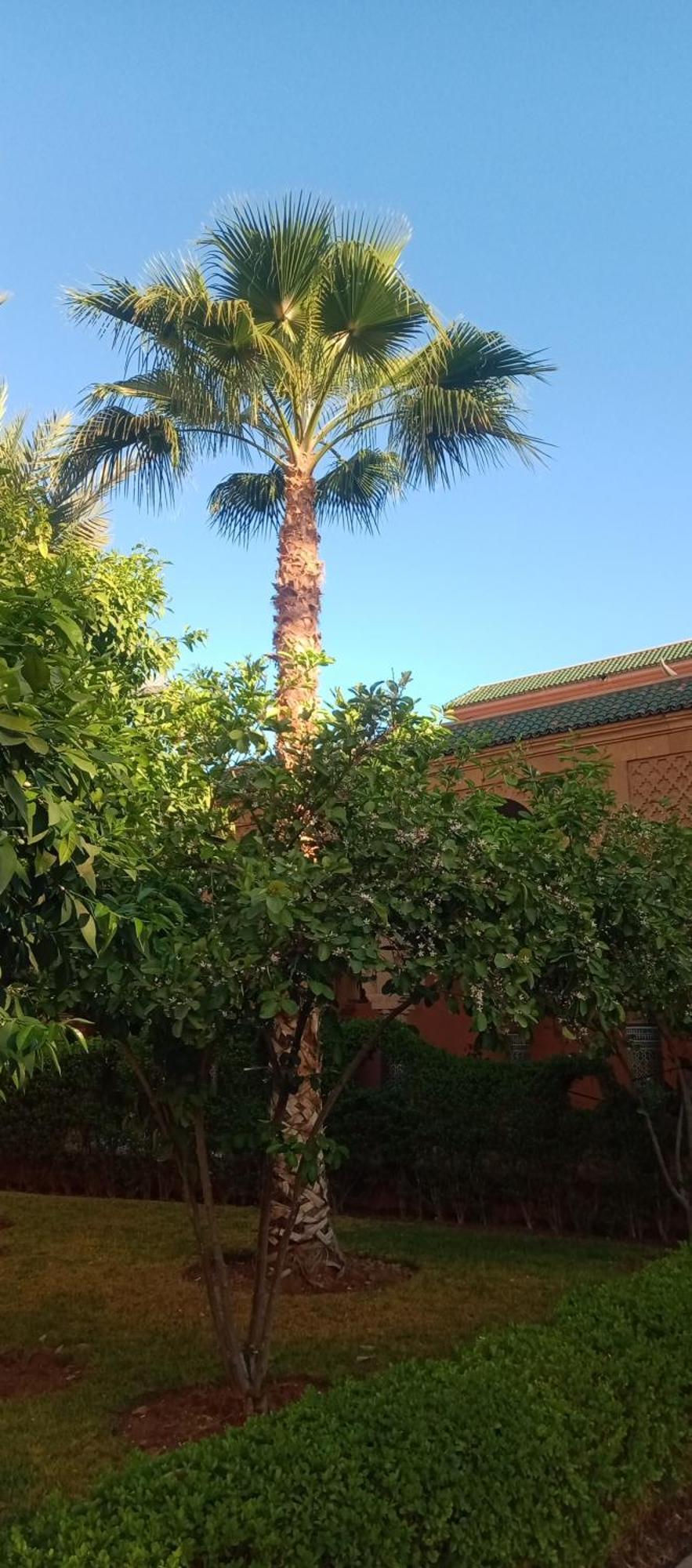 Riad Al-Bushra Marrakesh Esterno foto