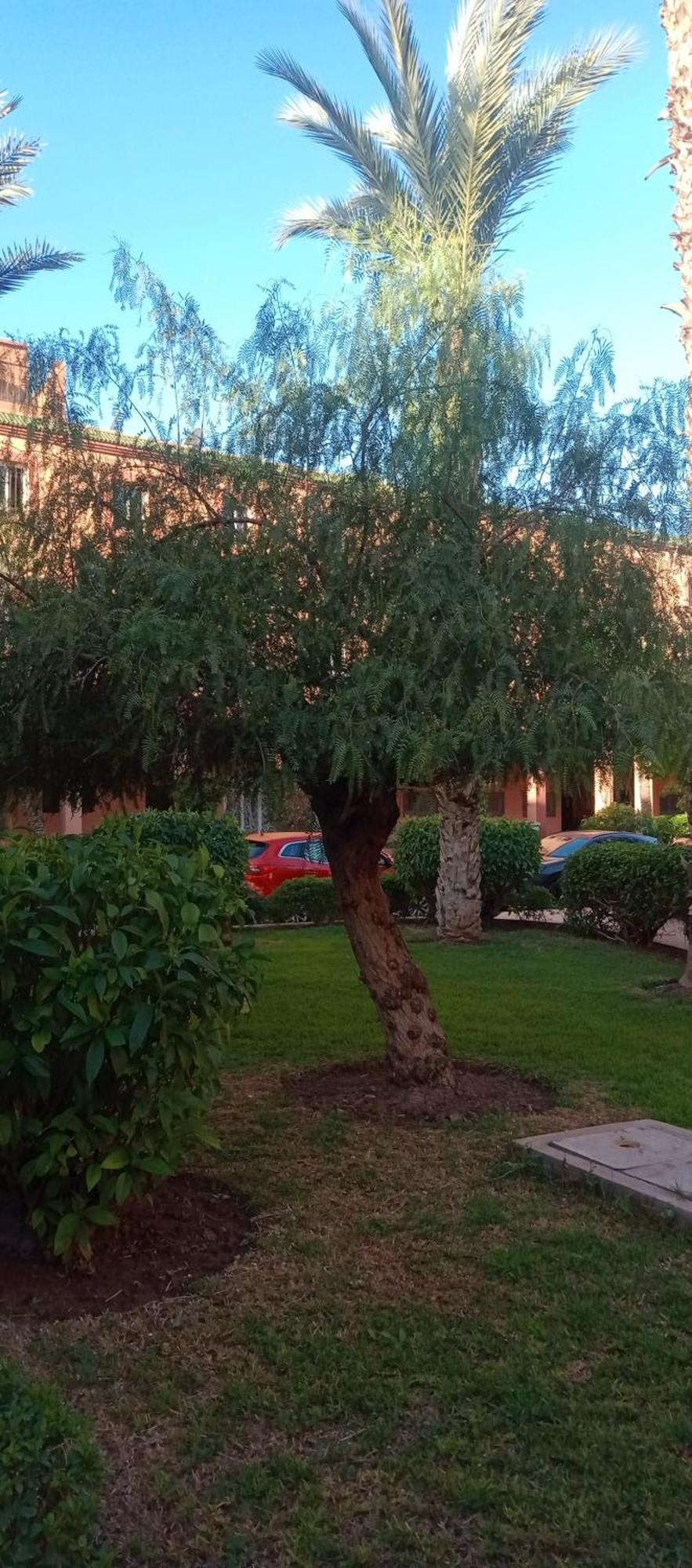 Riad Al-Bushra Marrakesh Esterno foto